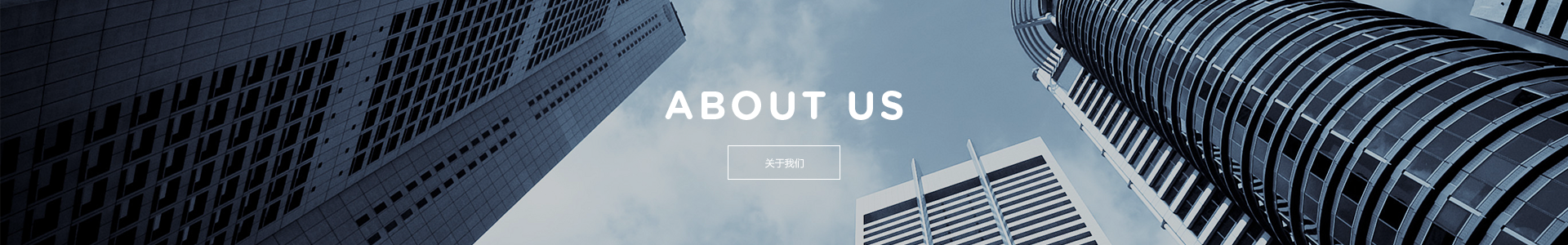 我們的優(yōu)勢(shì)